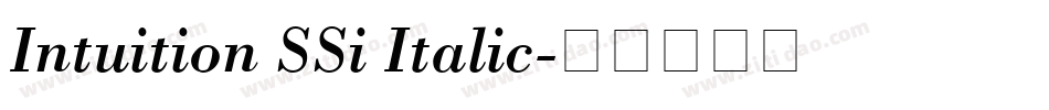 Intuition SSi Italic字体转换